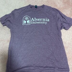 Alvernia University Purple Men's Shirt